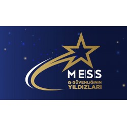 MESS İş Güvenliğinin Yıldızları Ödülleri 
