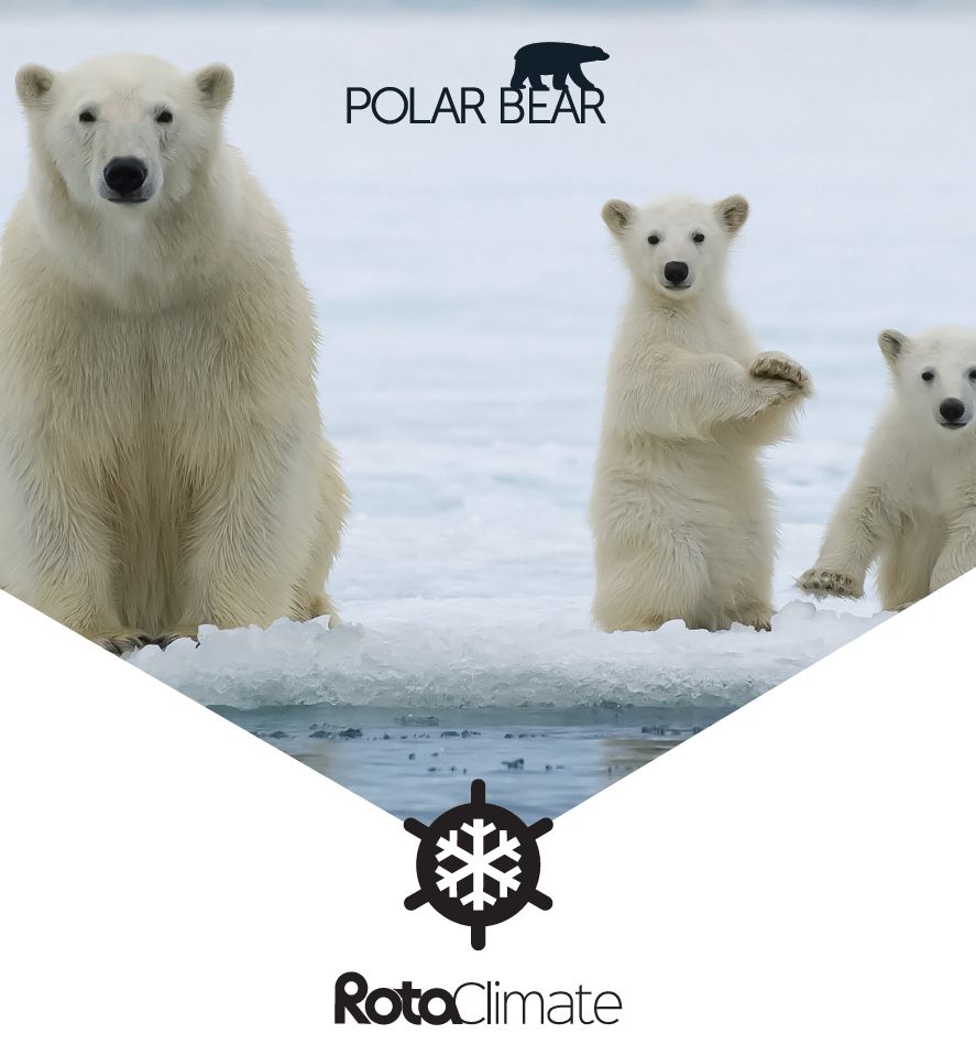 Rota Polar Bear Salon Tipi klimalar 
