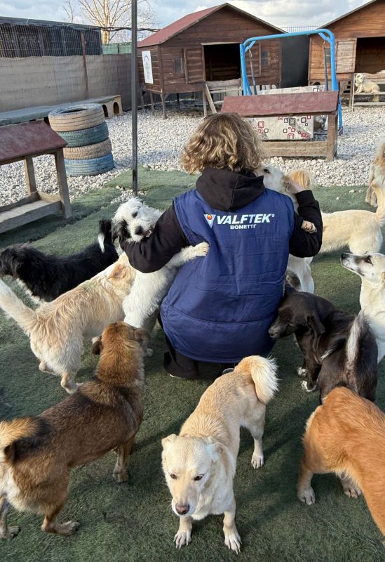 Valftek Gönüllüleri, Sektörün Akışını Dayanışmaya Çevirdi